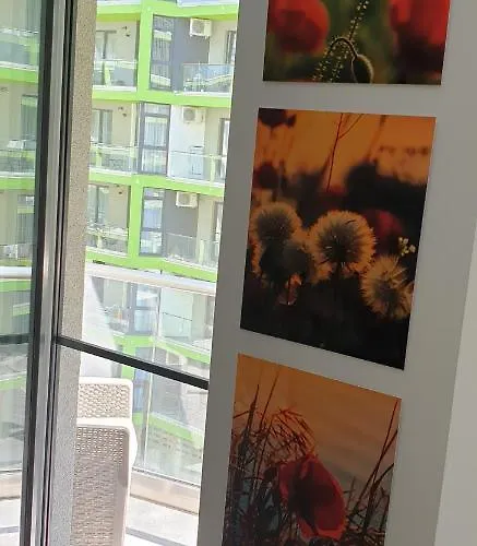 Appartement Alexandra Alezzi